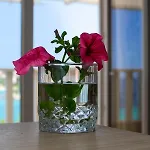 Lozica Appartement