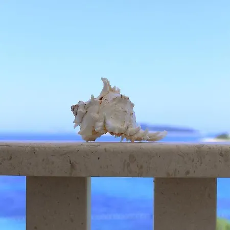 Lozica רוגוזניצה